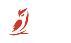 Outdoor Vitals logo